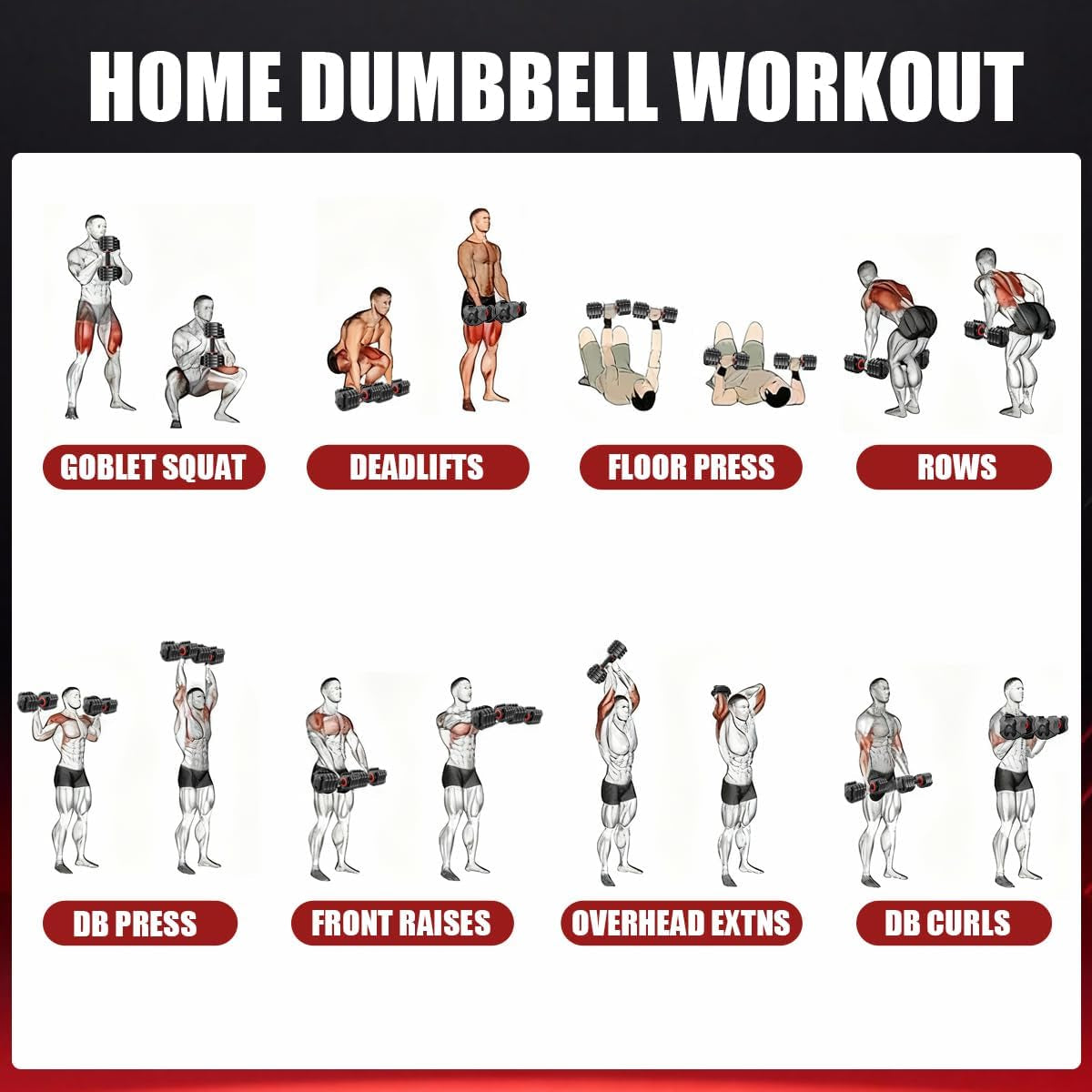 Adjustable Dumbbell 25 Lb – Quick Change Dial with Non Slip Handle & Tray Stand, Space Saving Home Gym Weights for Women Men Strength Training Workout